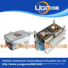 2013 plastic injection box mould yougo mould food container moulds